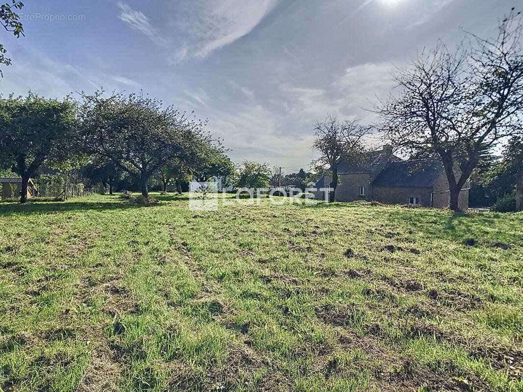 Terrain à LA FORET-FOUESNANT