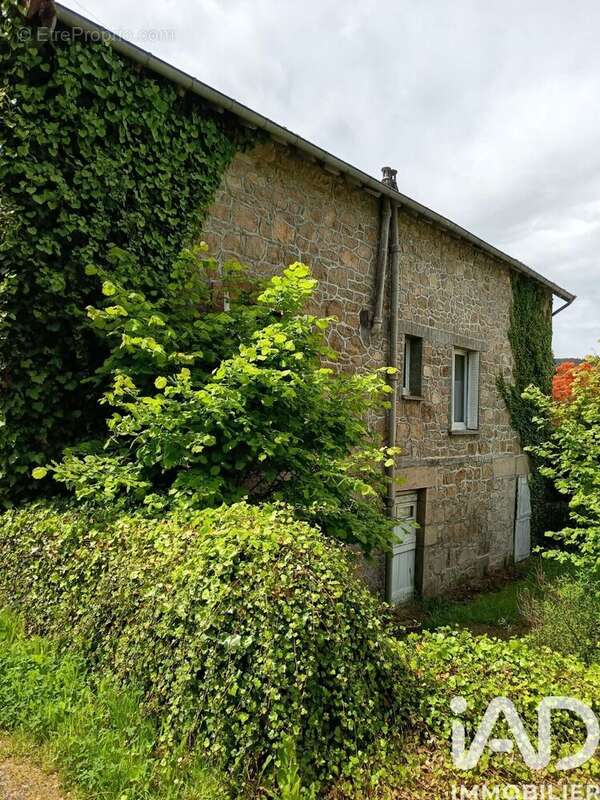 Maison 68 m² à Nedde  - photo 2