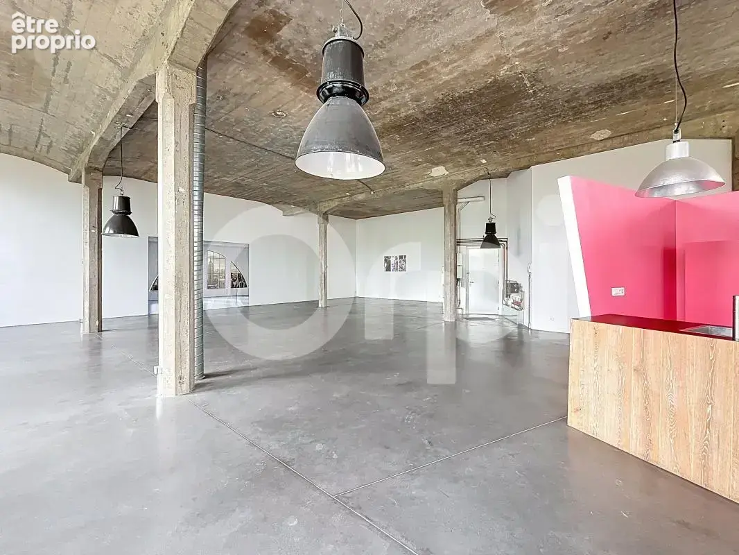 Loft Mulhouse 4 pièce(s) 226m2 - photo 4