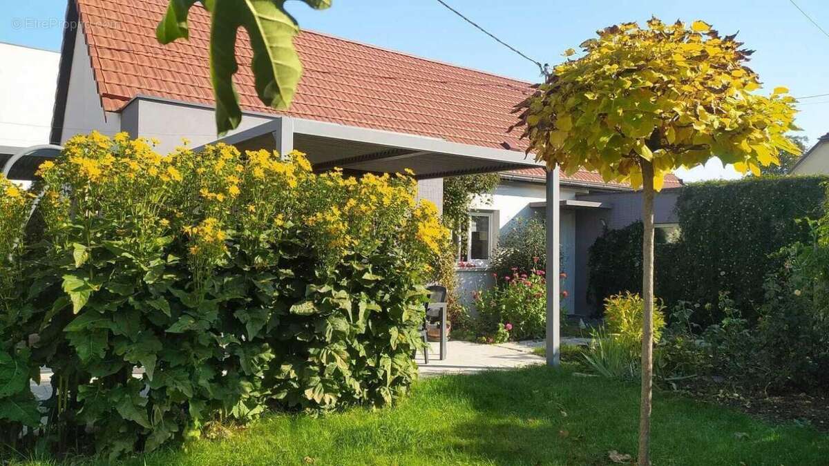 Maison à DORLISHEIM