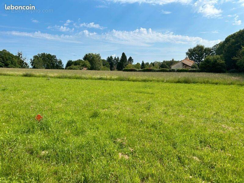 Terrain à COUZEIX