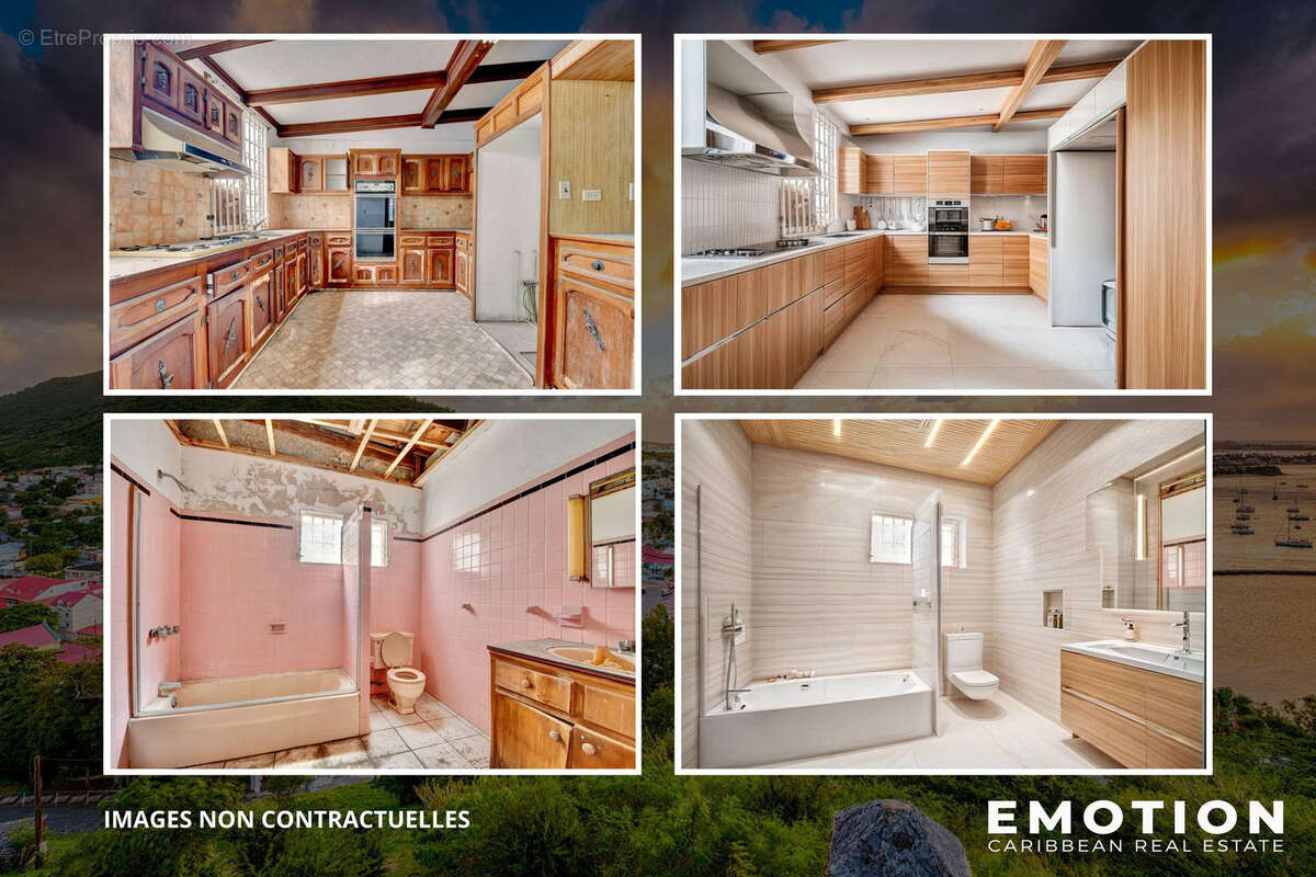 Immeuble R+1 - 228 m2 + 12 m2 de terrasse couverte - Marigot - photo 3