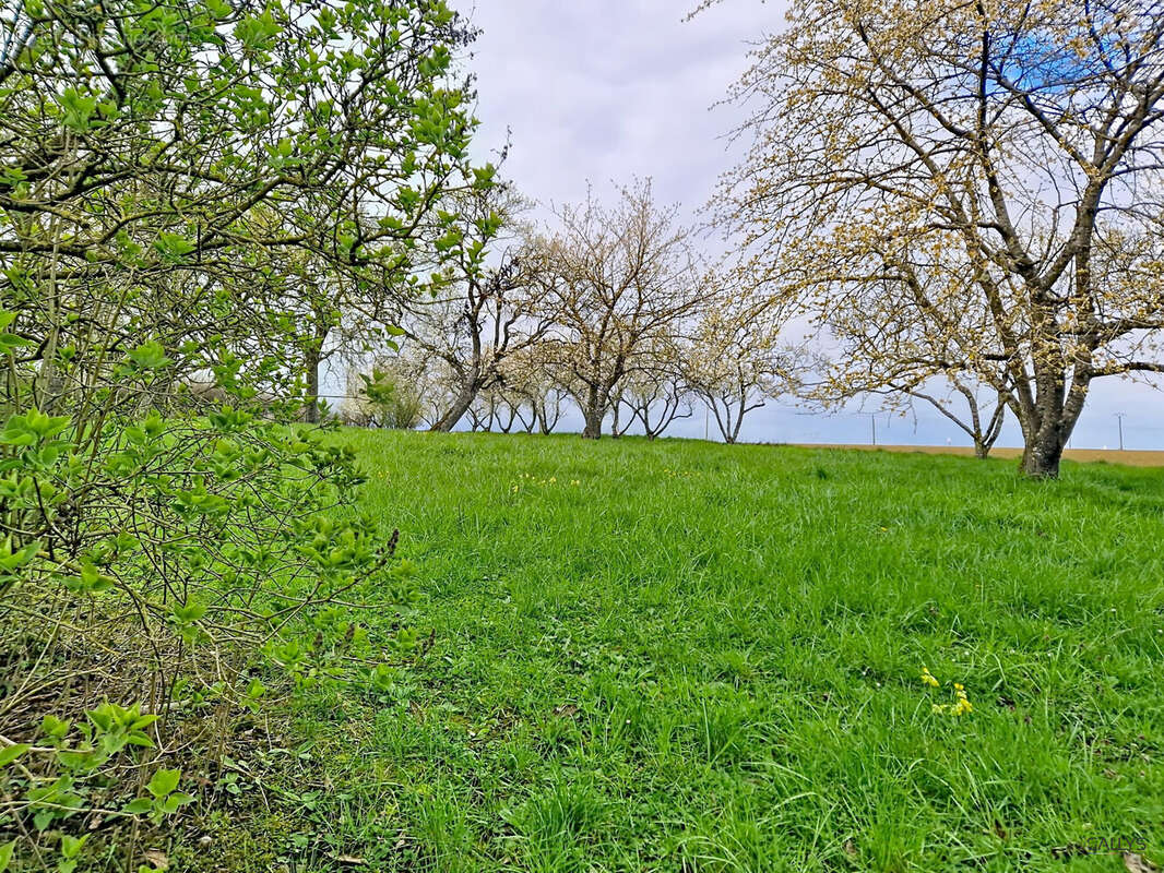 Terrain 1658 m² à Jouaville  - photo 4
