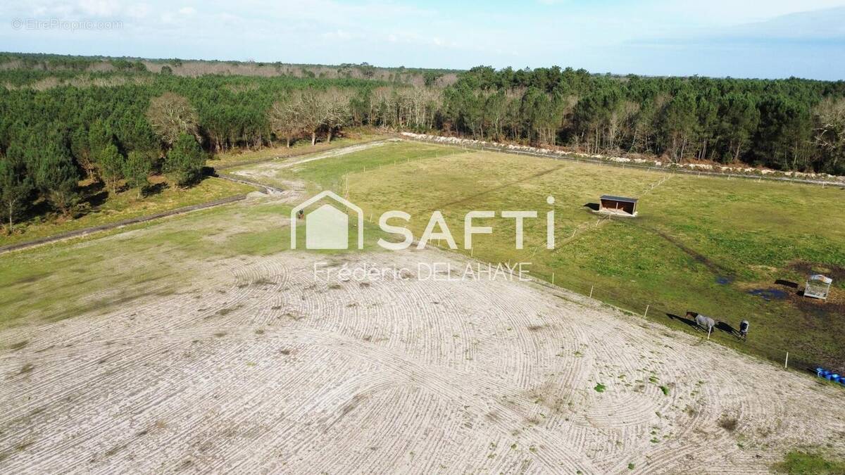Photo 1 - Maison à CASTELNAU-DE-MEDOC