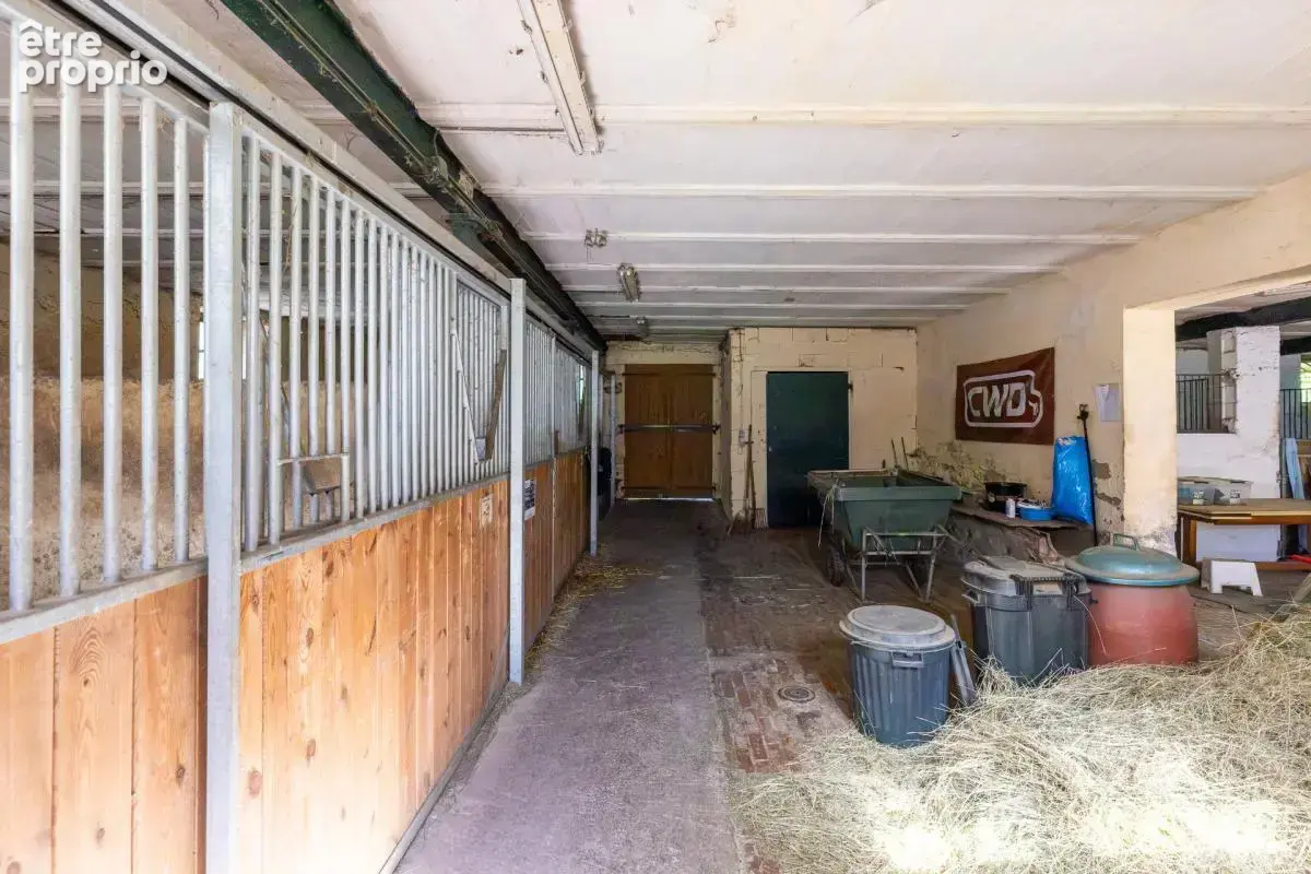 Domaine equestre - boxes-manege-carriere-appartement - photo 5