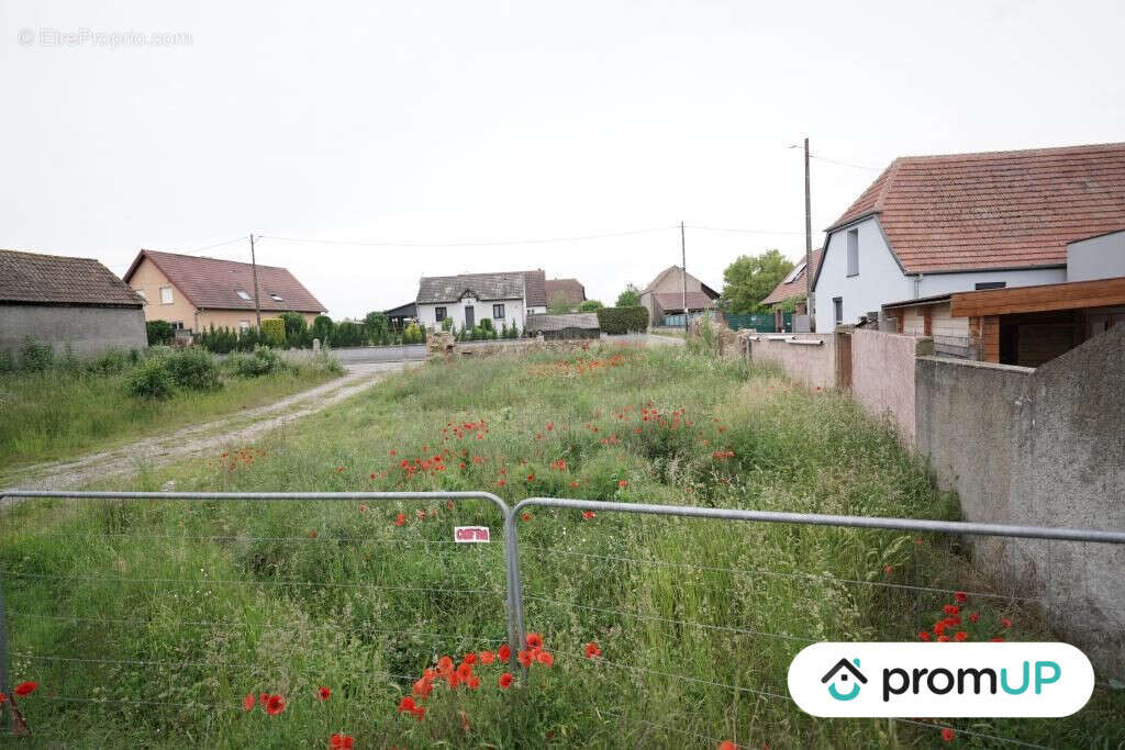 Terrain à HIRTZFELDEN