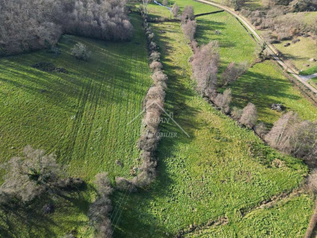 Maison à NEUILLY-LE-REAL