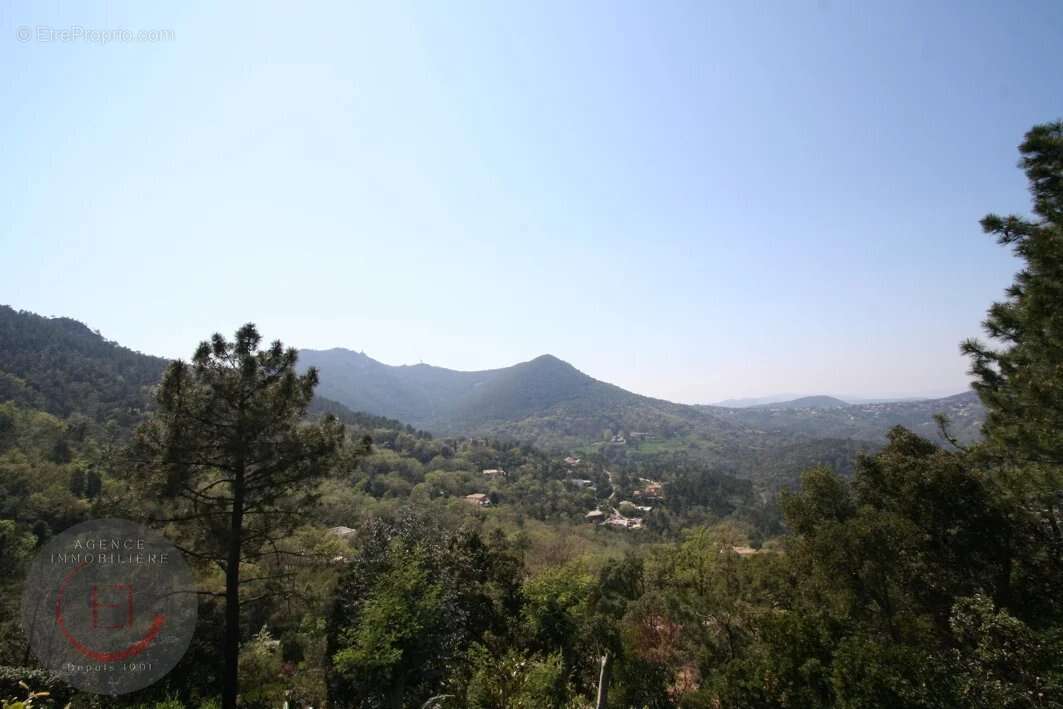 Maison à MANDELIEU-LA-NAPOULE