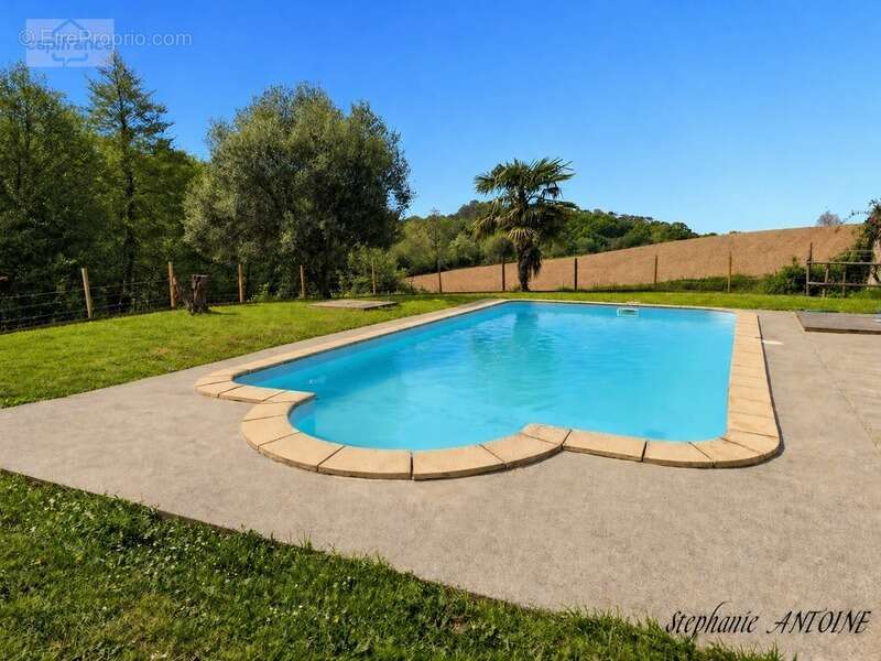 Propriété de caractère – 6,7 hectares – dépendances – ossages - photo 4