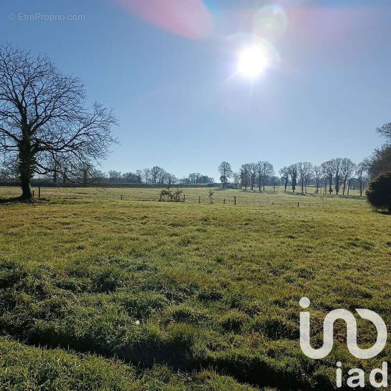 Photo 9 - Maison à AIXE-SUR-VIENNE