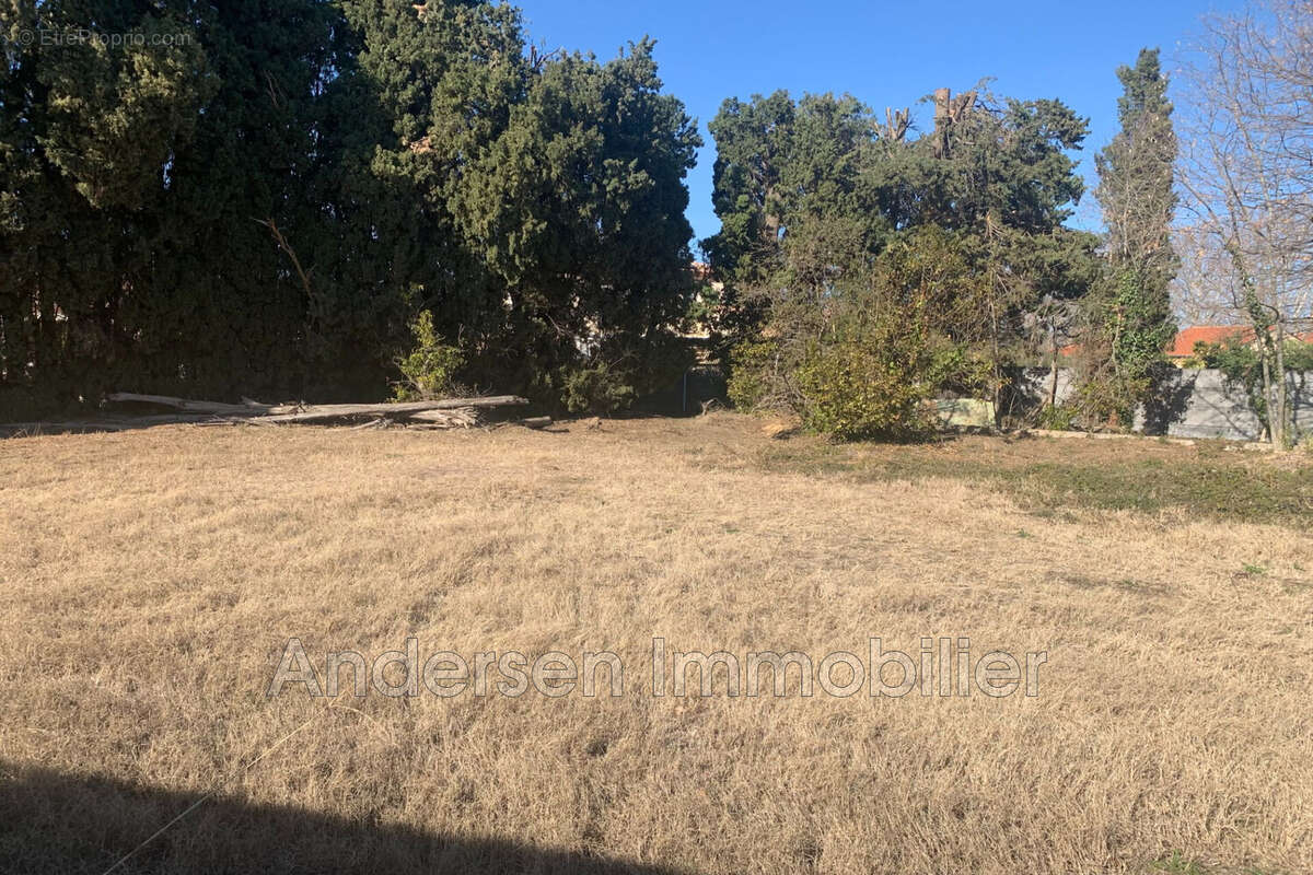 Terrain à PALAU-DEL-VIDRE