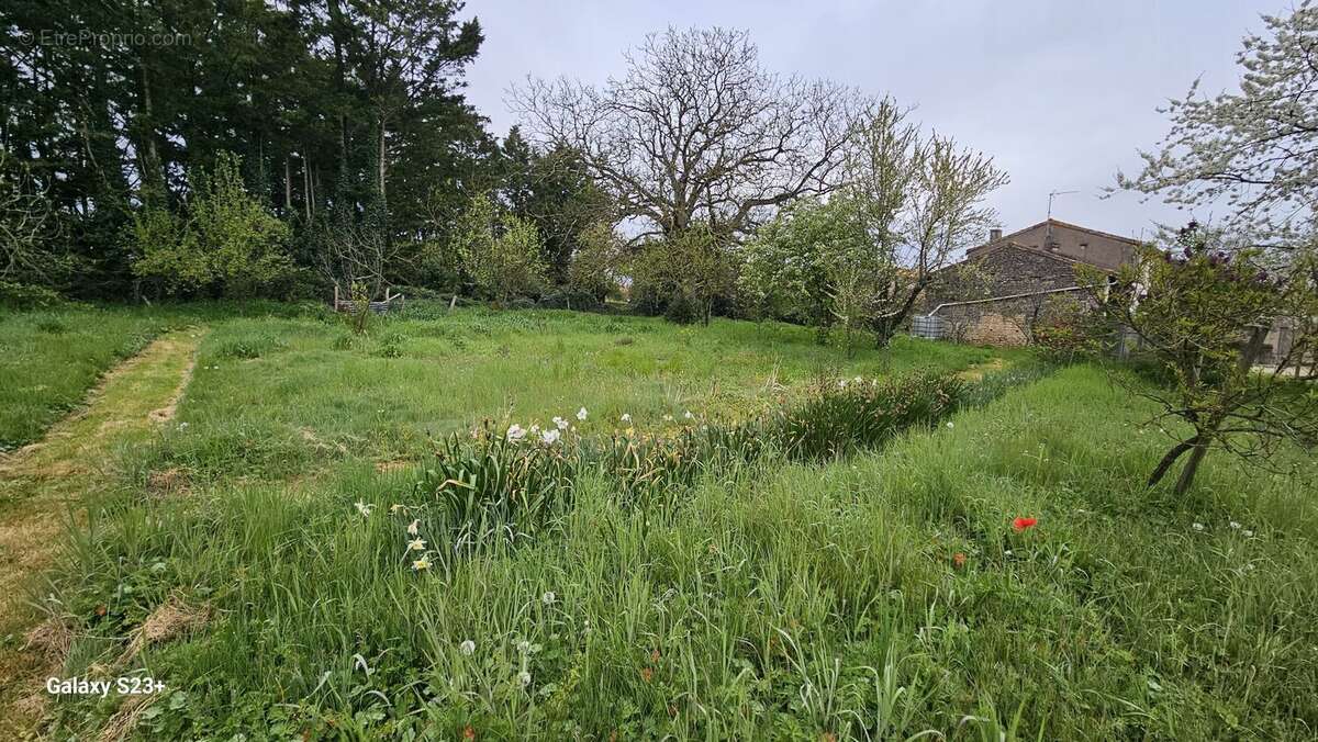 Terrain à SAINT-REMY
