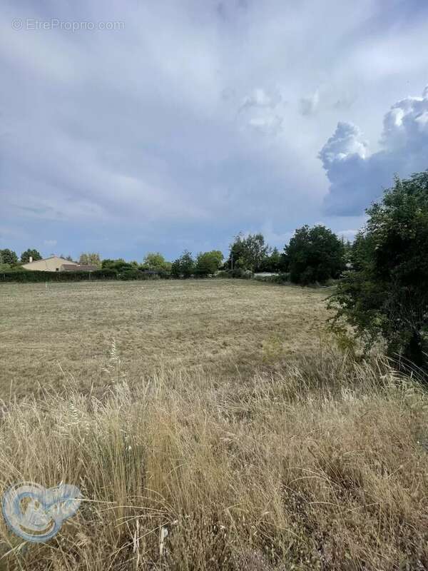 A vendre terrain constructible viabilisé de 704 m2 - Lot 2 - photo 6