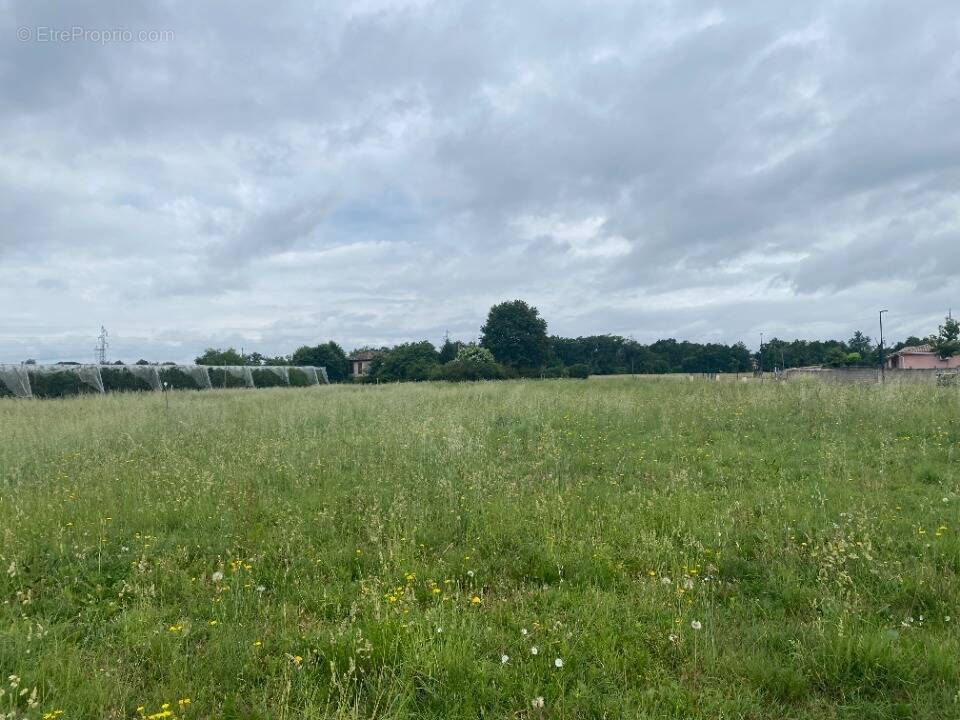Terrain à NEGREPELISSE