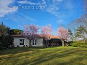 Maison à ESTANCARBON