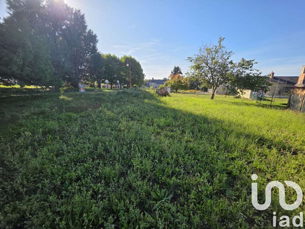 Photo 2 - Terrain à MANSIGNE