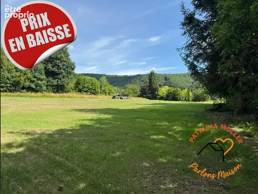 Terrain à LES HAUTES-RIVIERES