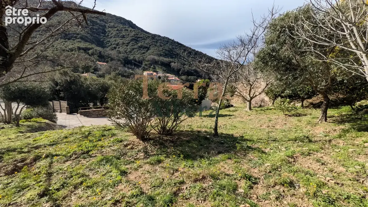 Sorede - belle villa avec du cachet des pierres & cadre naturel - photo 8