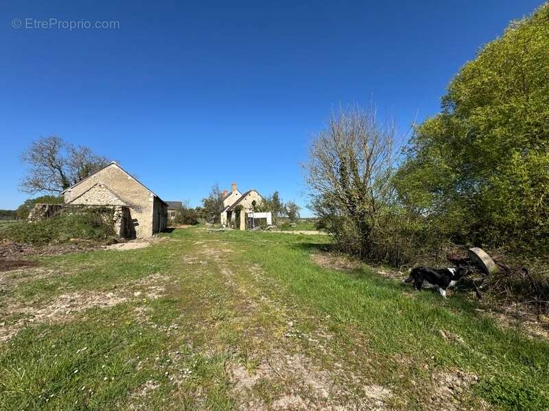Maison à COURCELLES-DE-TOURAINE