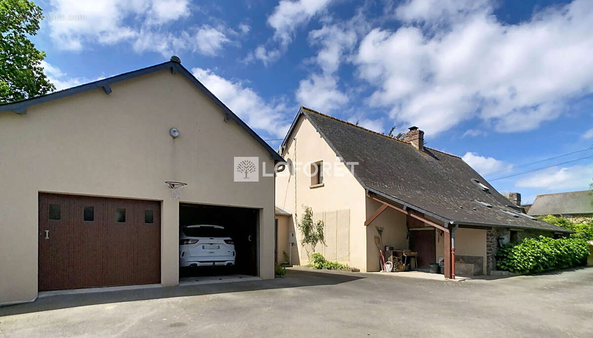 Maison Saint Malon Sur Mel 4 chambres 142 m2  - séjour cathédral - photo 11