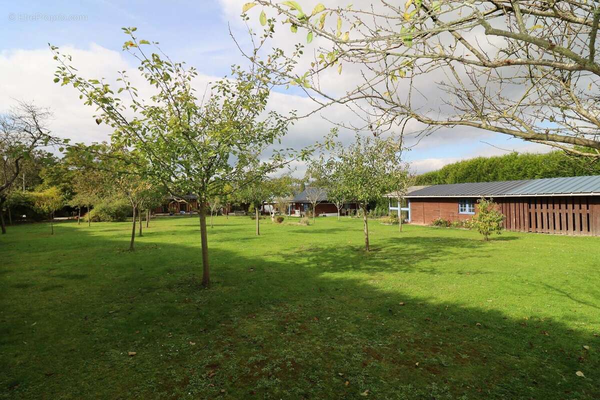 Photo 3 - Maison à HEURTEAUVILLE