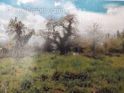 Terrain à ROZAY-EN-BRIE