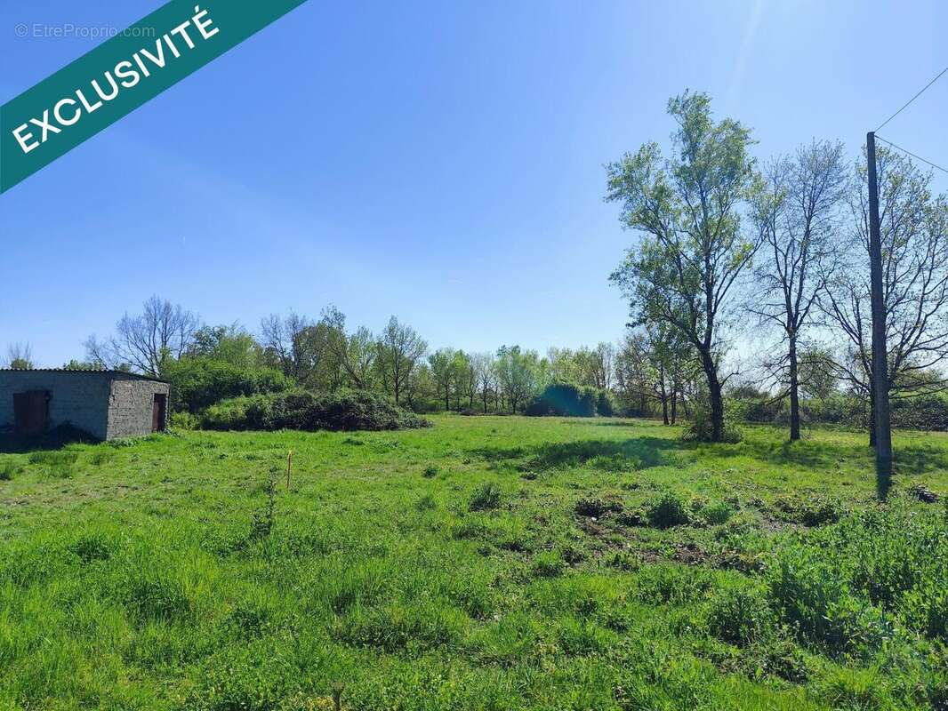 Photo 3 - Terrain à CASTELSARRASIN