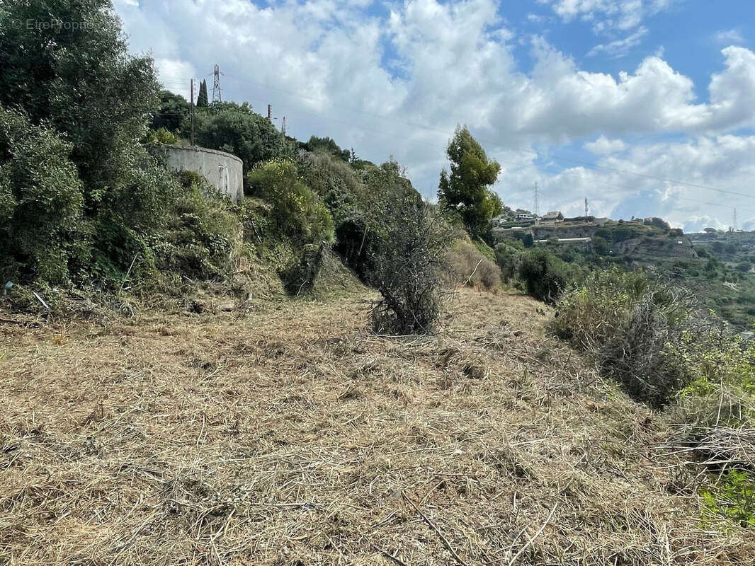 Terrain a vendre nice ouest cremat - photo 7