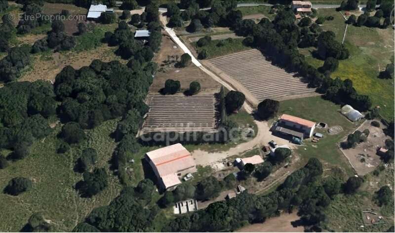 EXCLUSIVITE : Proche de L'ILE ROUSSE, Plaine du Reginu, propriété en pierre T5 161 m² sur 1.96 ha de terrain - photo 3