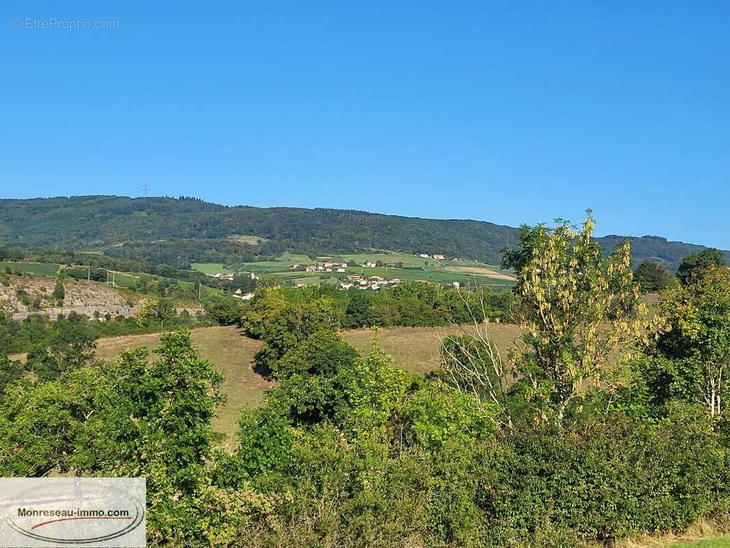 Terrain à LA ROCHE-VINEUSE