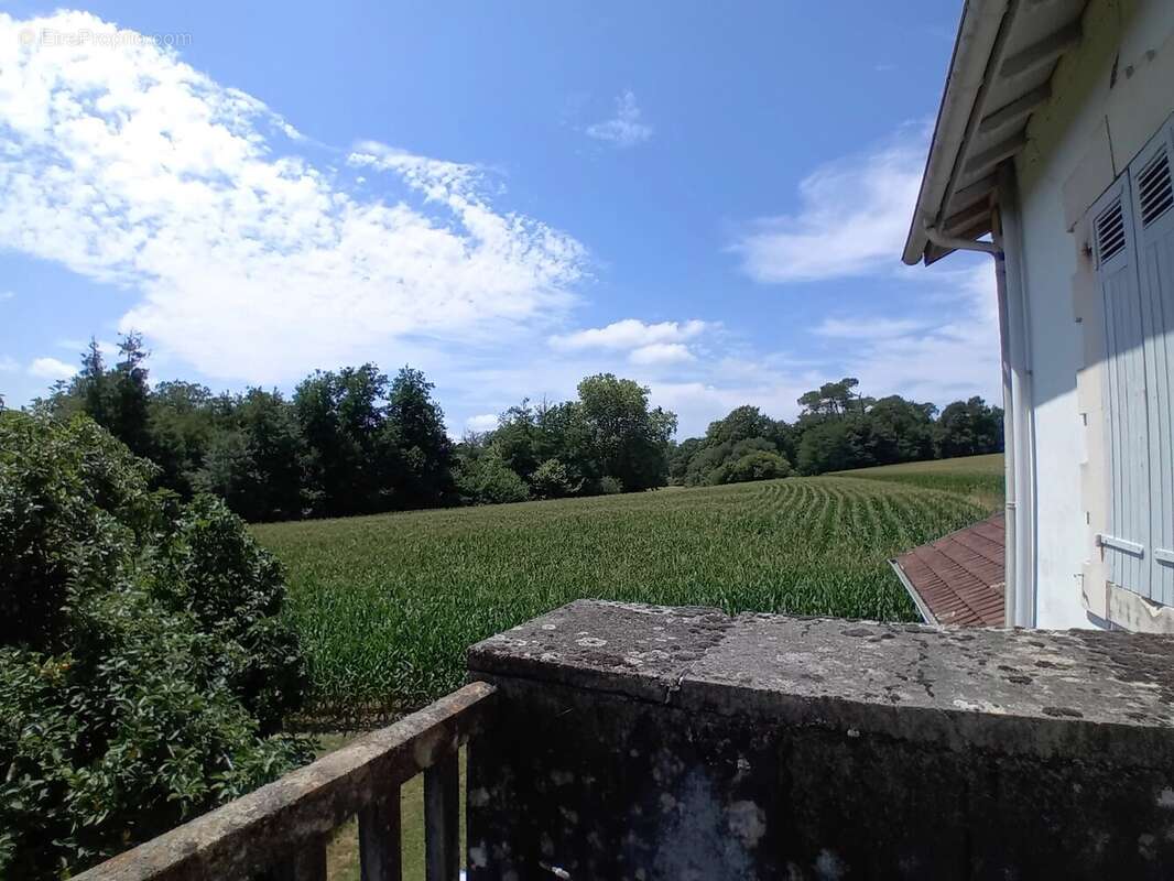 Maison de maître Pouillon 15 mn' au sud de Dax - photo 16