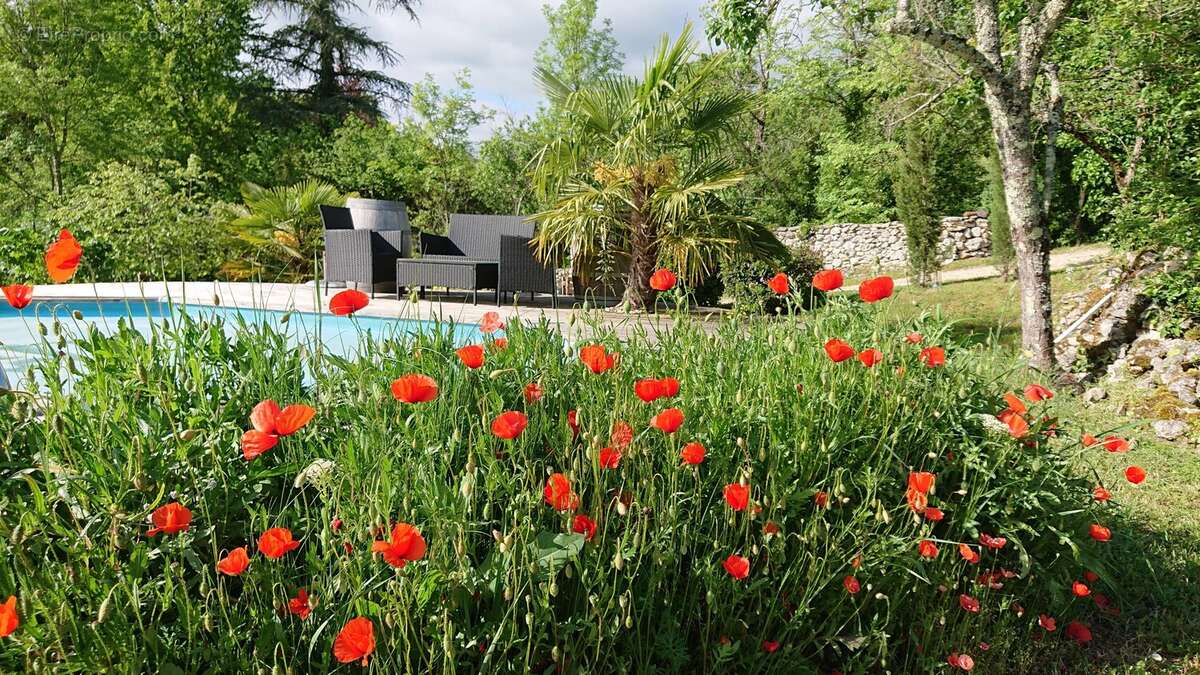 Maison à SAINTE-FOY-DE-LONGAS