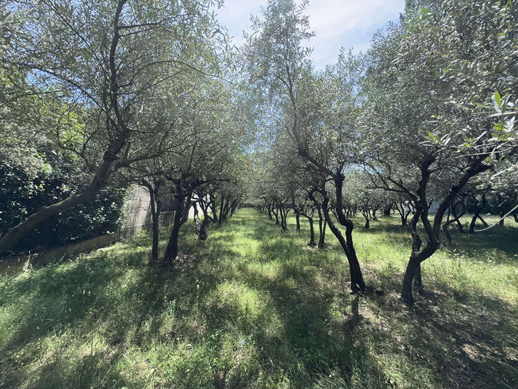 Maison à VILLENEUVE-LES-AVIGNON