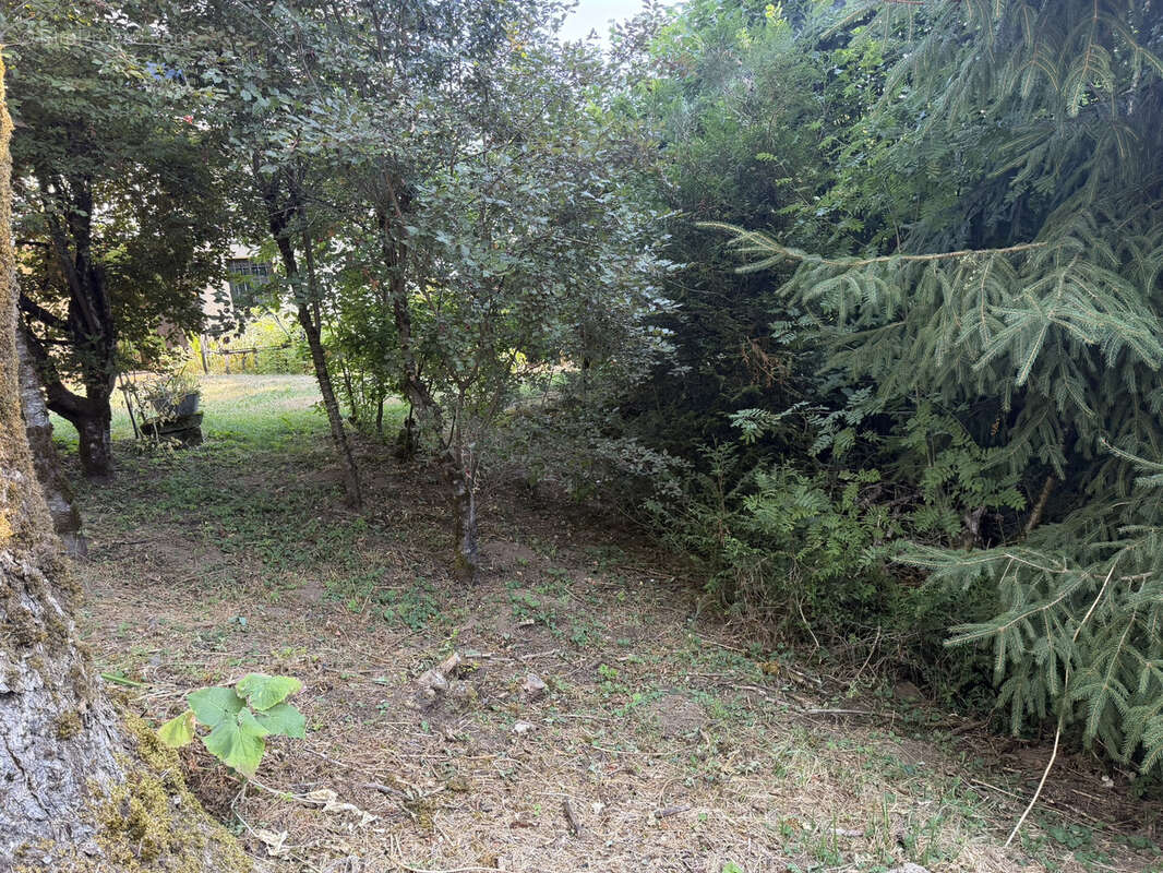 Maison en Pierre 4 Chambres avec Jardin - photo 6