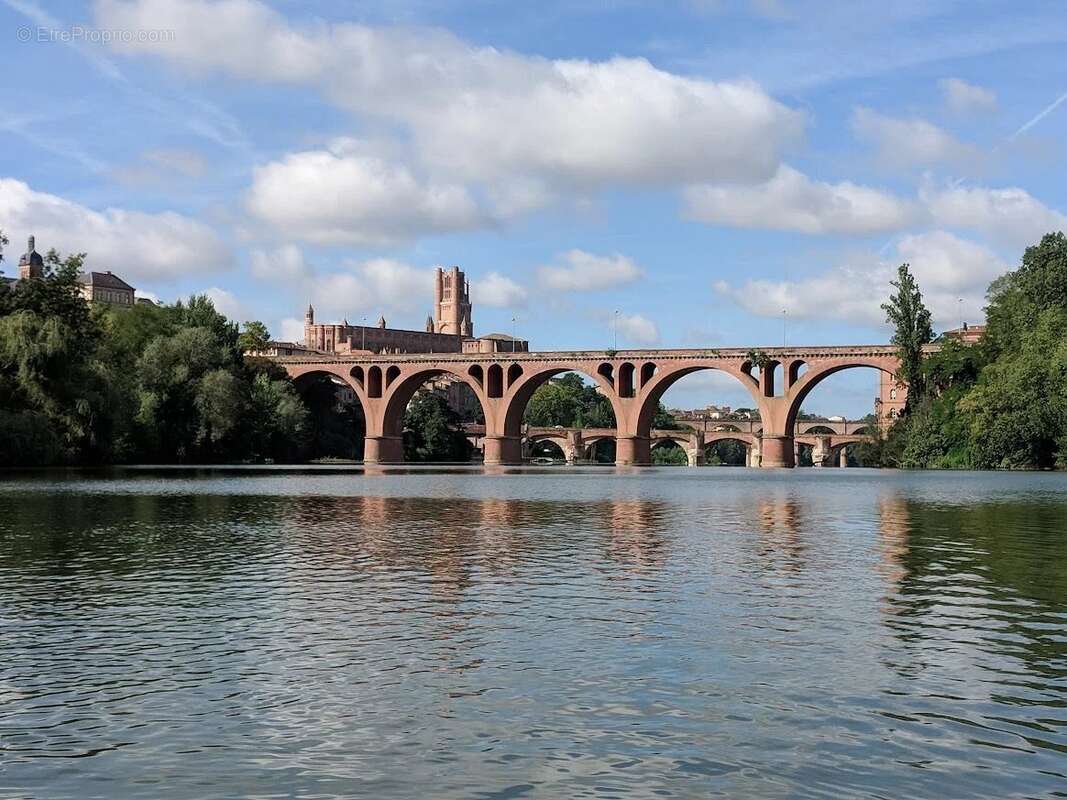 Emplacement exceptionnel au bord du Tarn à Albi - photo 11