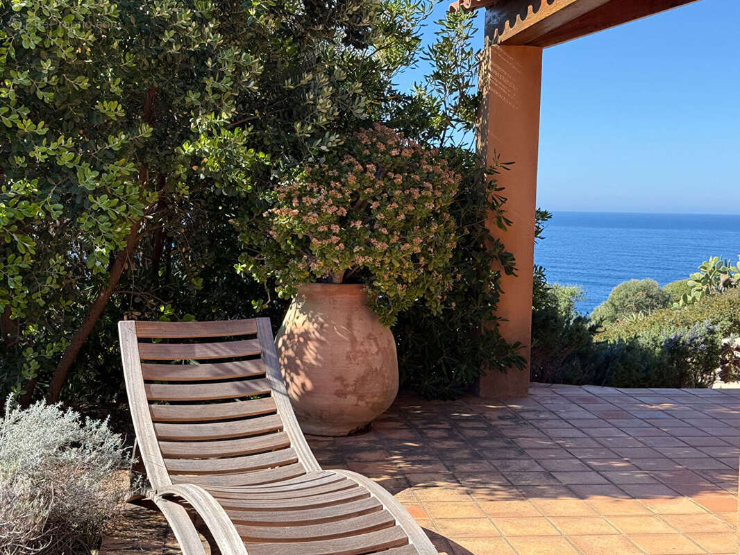 Casa Latina - photo 18