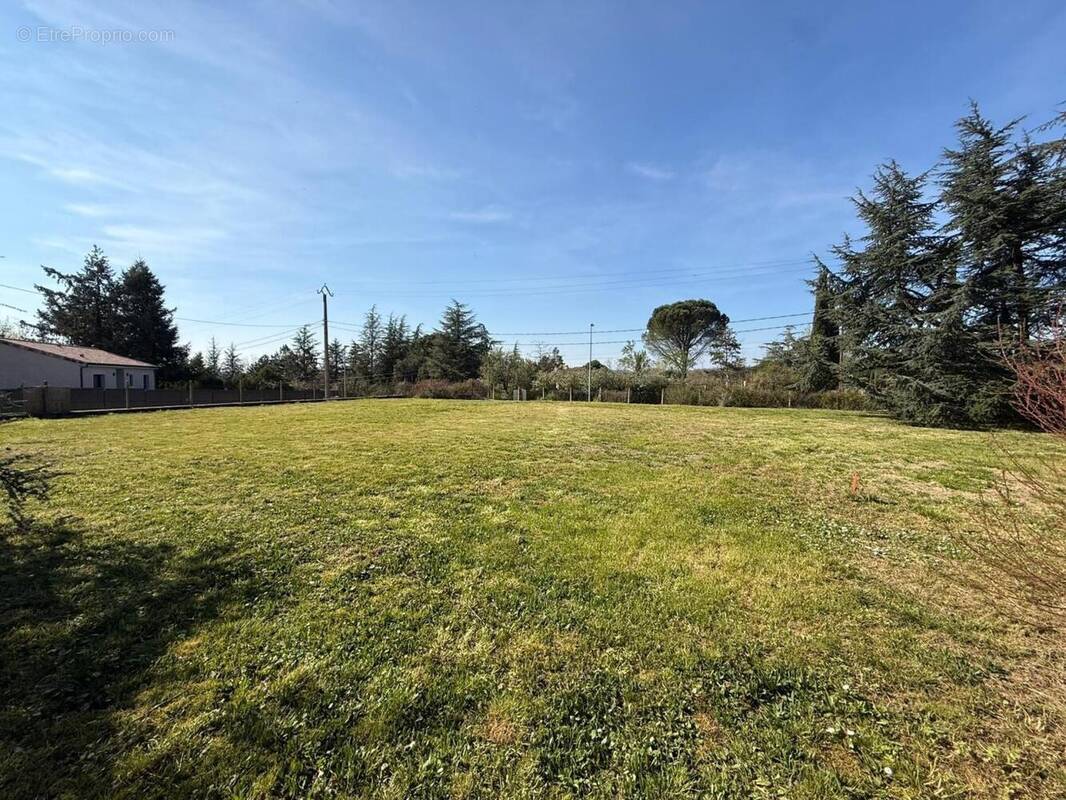 Photo 1 - Terrain à GRAULHET