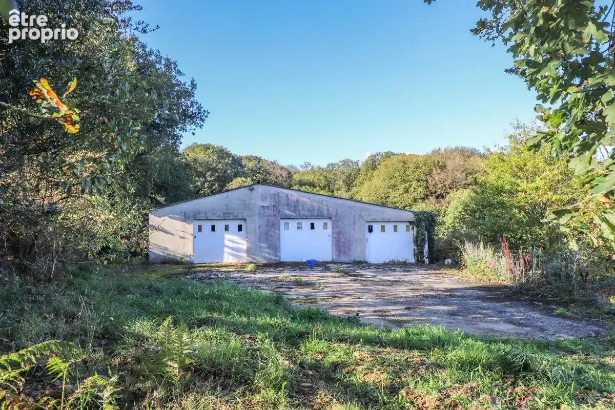 Maison isolée sans aucun voisin - Vue splendide Monts d’Arrée - photo 12