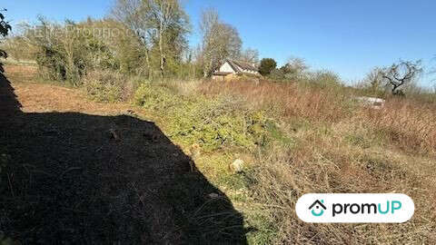 Terrain à BUIRE-COURCELLES