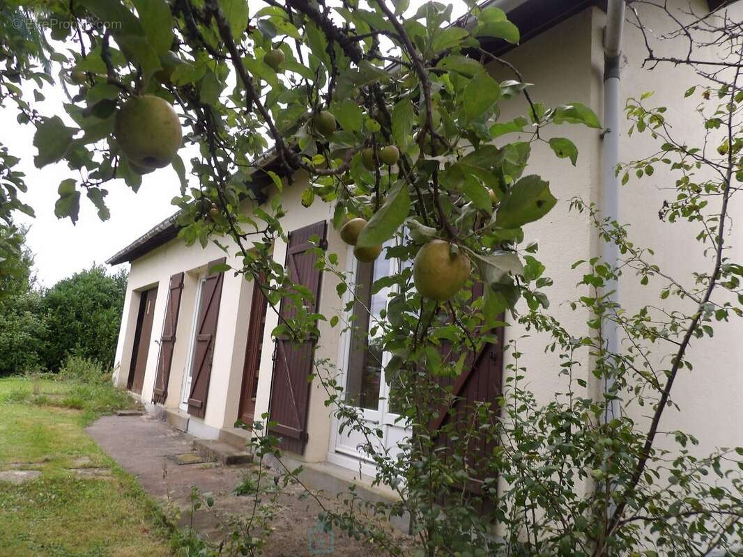 Au cur de la Dordogne à Jumilhac Le Grand, belle maison et son joli terrain - photo 3