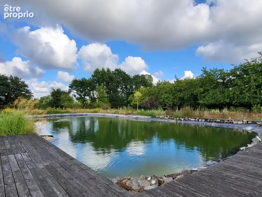 Maison de plain-pied à QUEMPERVEN (22450), piscine naturelle et verger ! - photo 6