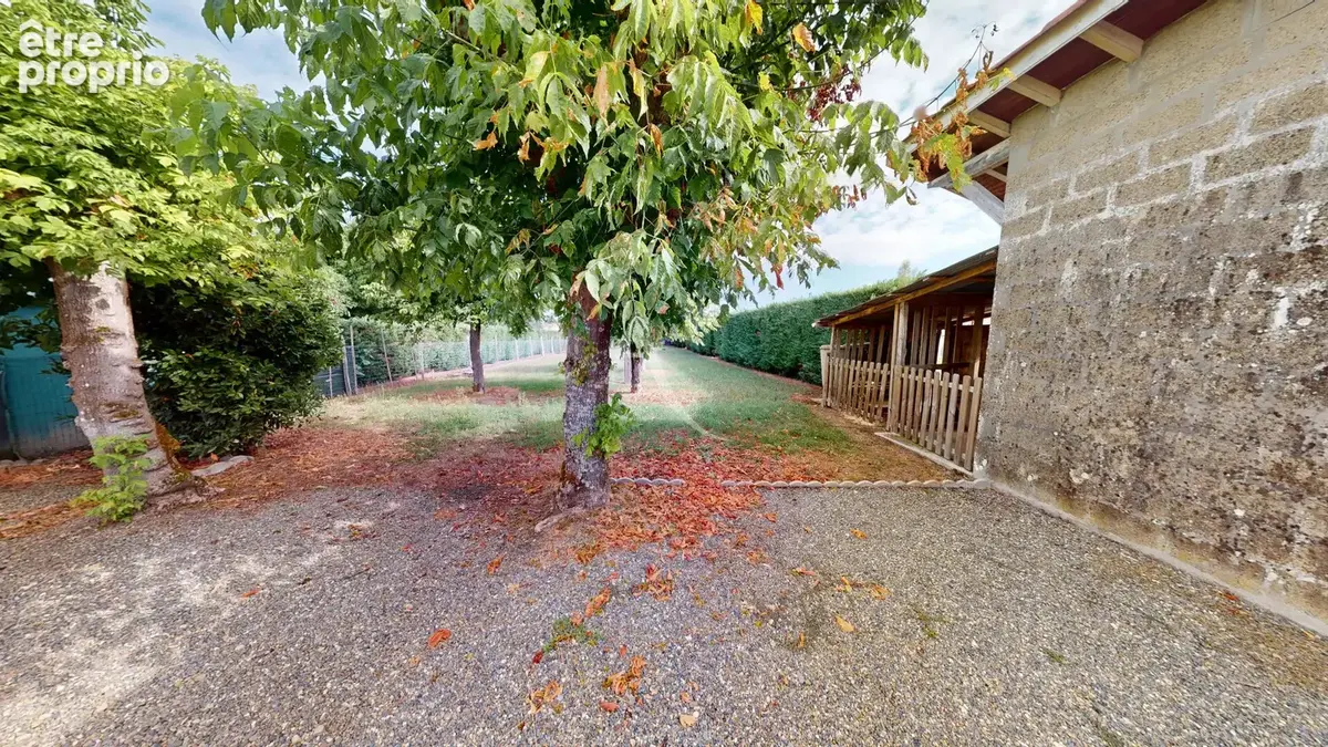 Villeneuve-de-Marsan ? Maison familiale rénovée avec jardin arboré - photo 10