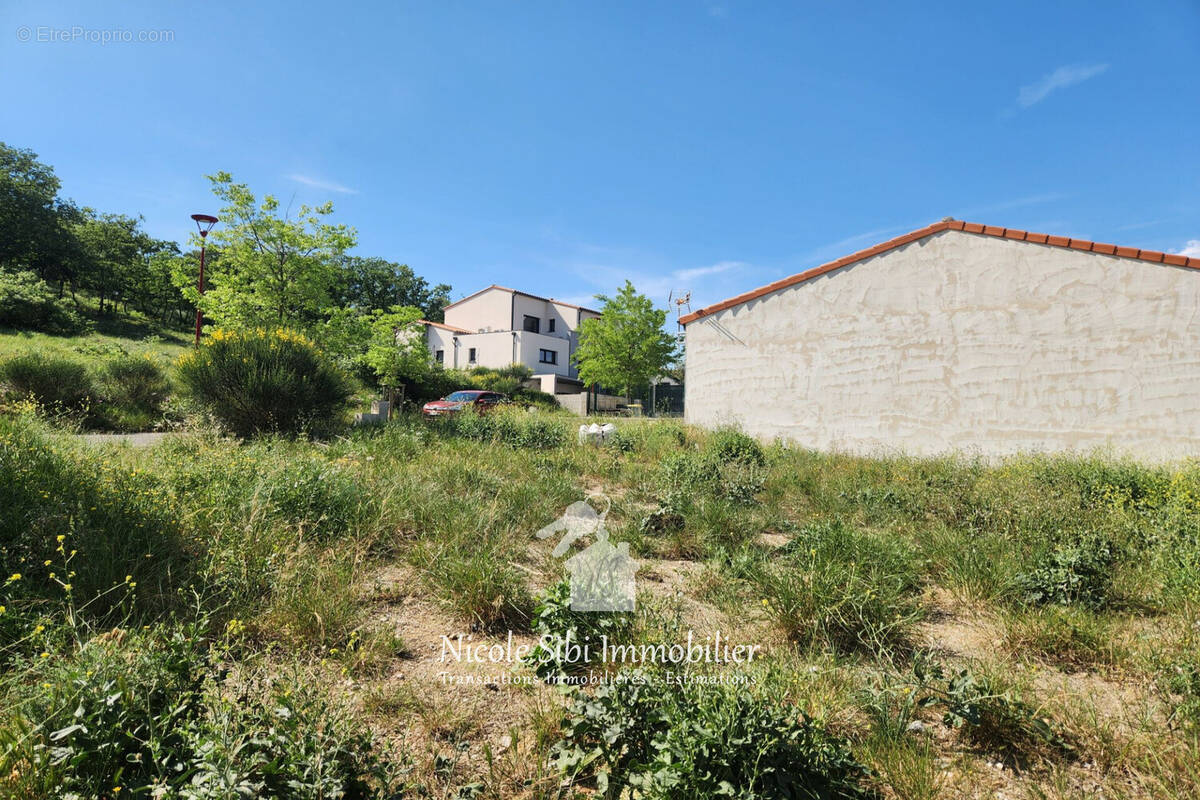 Terrain à CORBERE-LES-CABANES
