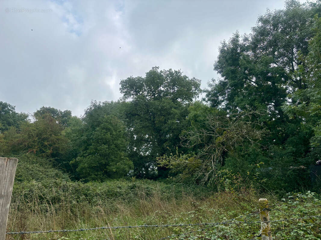 Terrain à SAINT-ELIPH