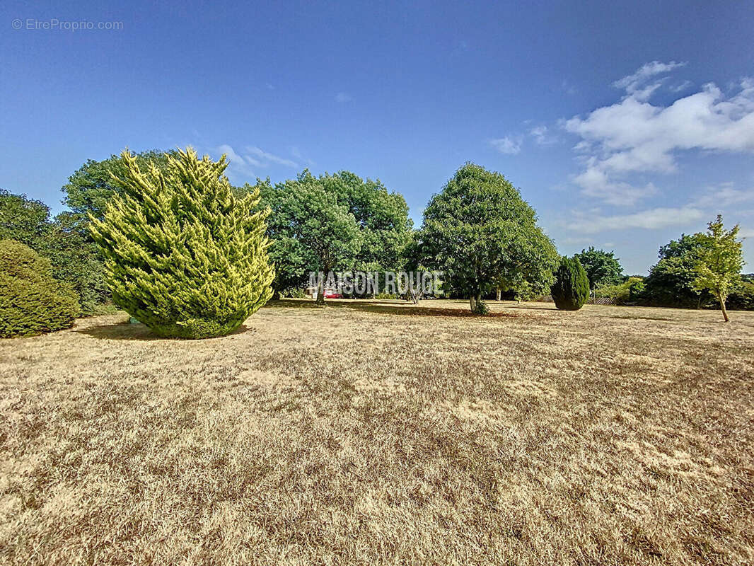 PLOURIVO Maison  en pierre 104 m2 Jardin  4105 m² - photo 11