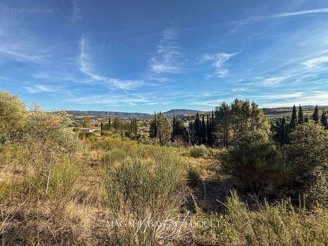 Terrain à LIMOUX