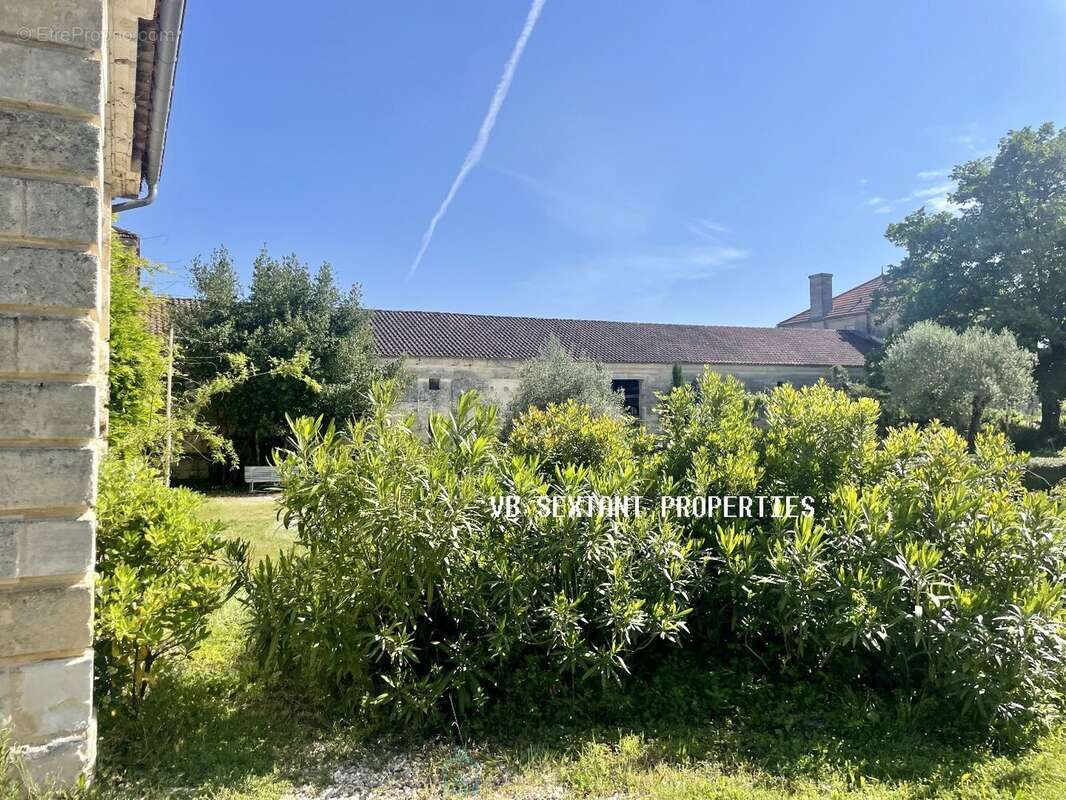 Entre-Deux-Mers, bel ensemble immobilier du XVIII ème siècle, 2 habitations avec dépendances et piscine 1 hectare 3 de terrain - photo 9