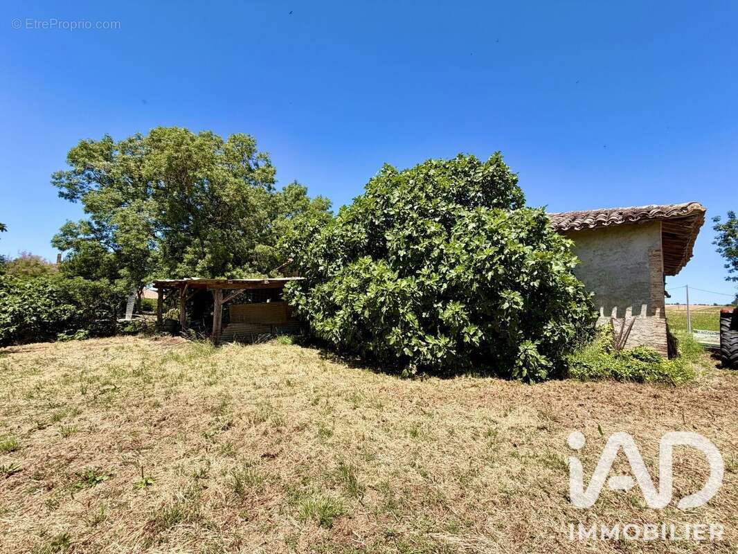 Photo 8 - Maison à MAURENS