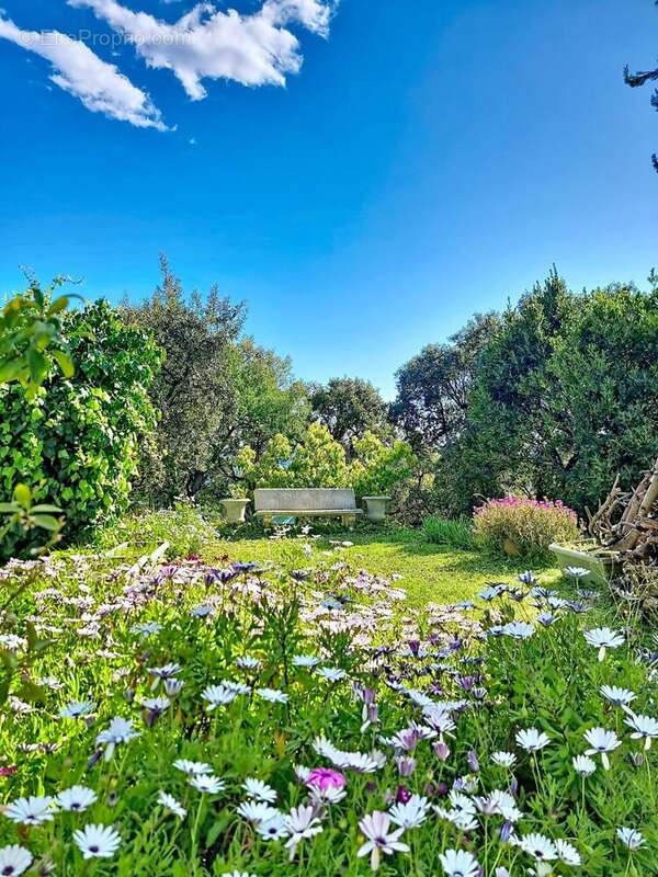 Photo 5 - Maison à SAINT-RAPHAEL