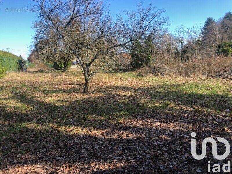 Photo 1 - Terrain à COUZEIX